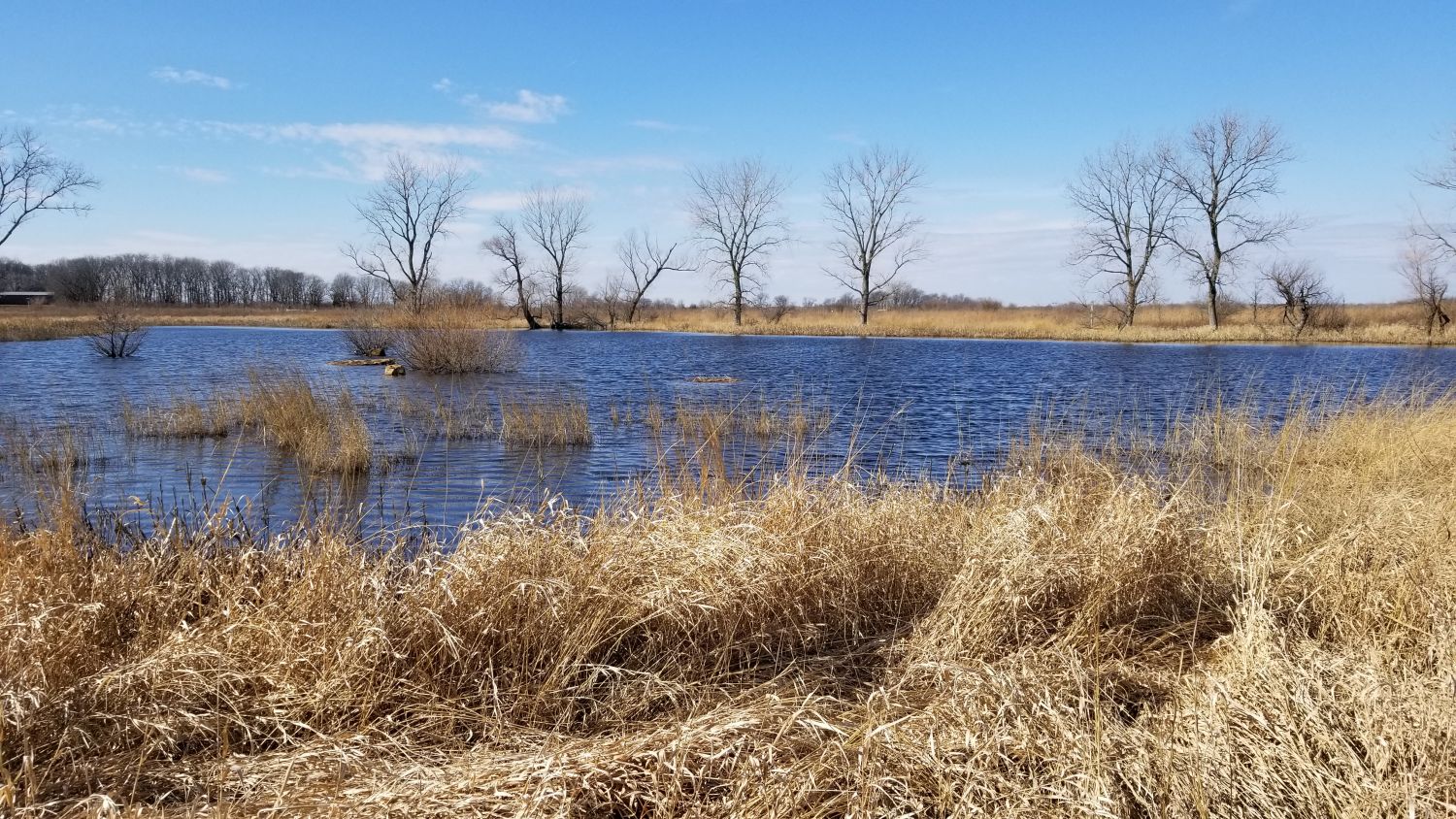 Goose Prarie Natural Area 